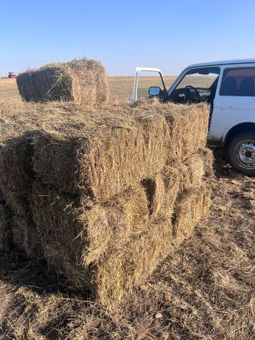 Продам сено в тюках