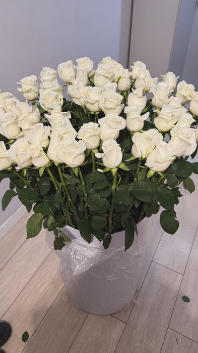51шт белые розыы