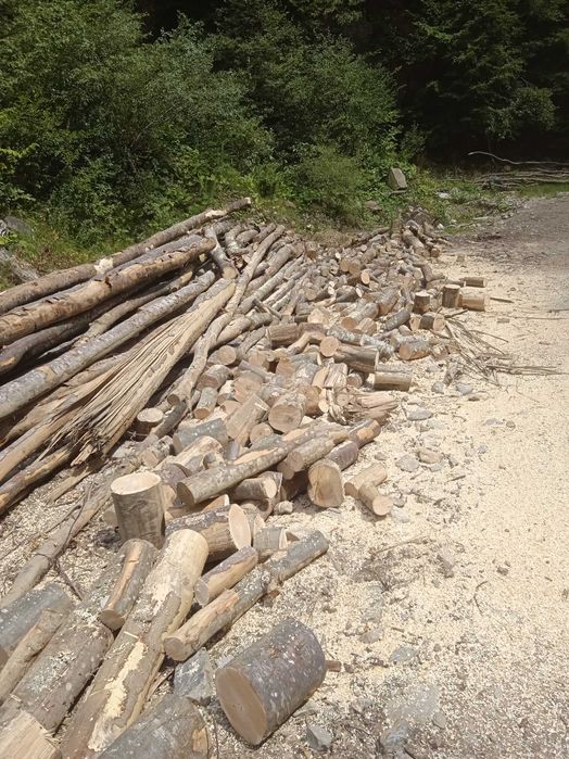 Vând lemne pentru foc