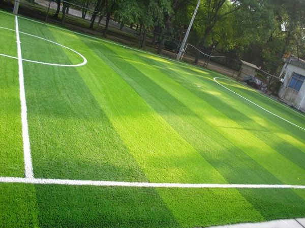 Искуственные газоны всех видов,искуственные цветы ,все для дома