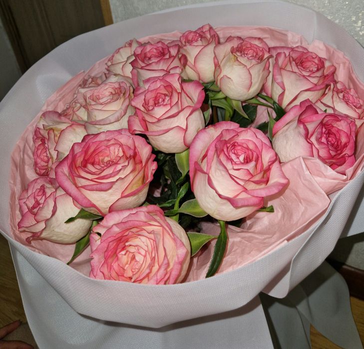 Розы белые с розовыми краями