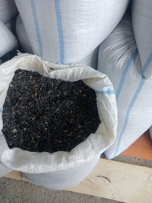 De vânzare floarea soarelui și grâu