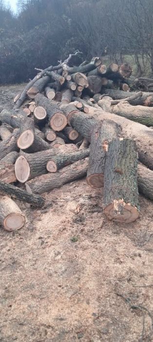 Vând lemne de foc esență tara