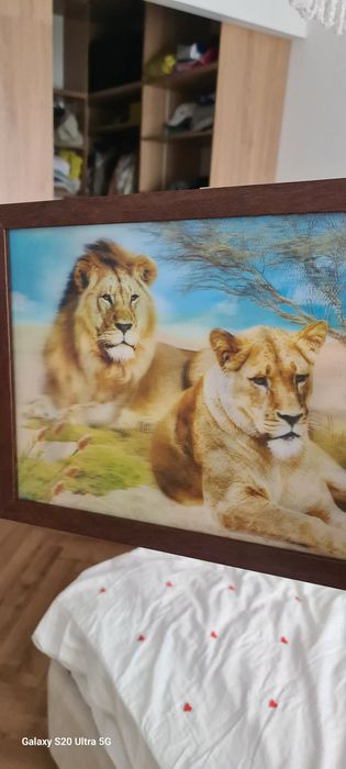Картина 3Д, львы