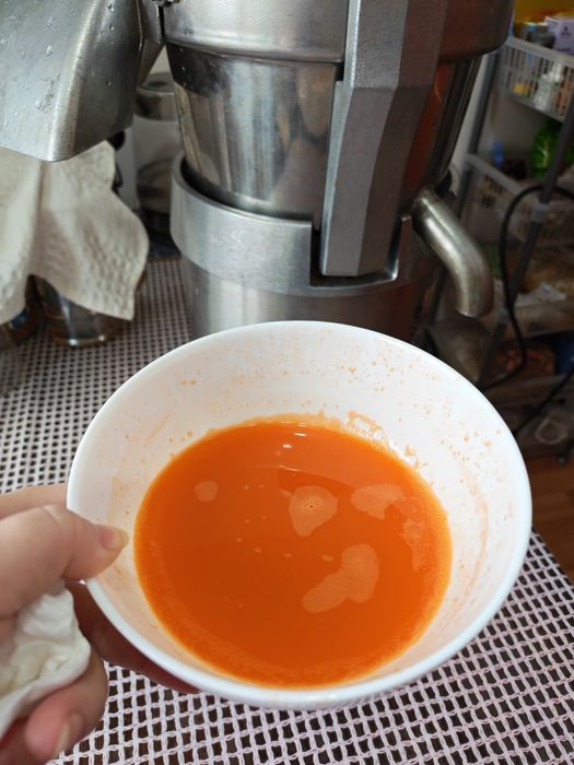 Соковыжималка Santos