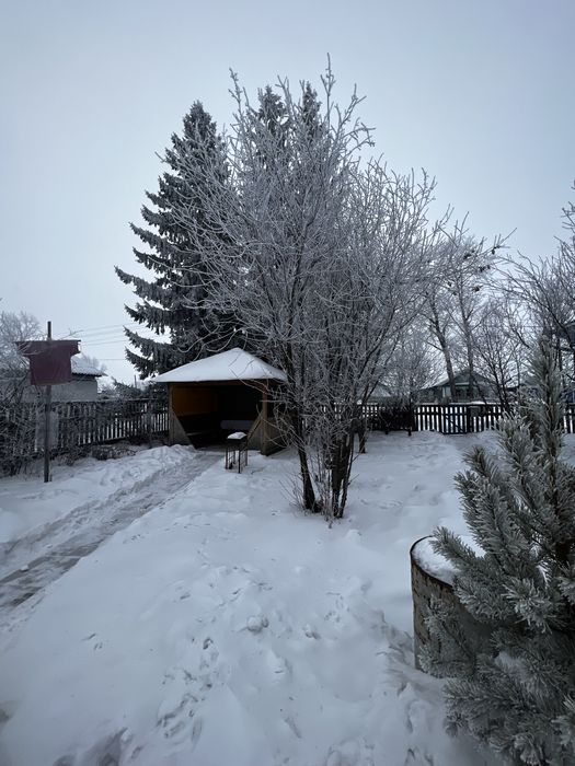 Продам дом в пригороде,с.Петерфельд.