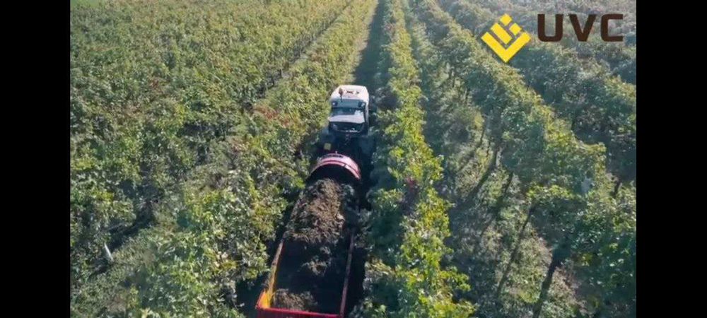 Разбрасыватель удобрений для виноградников и садов Annovi A45 (Италия)