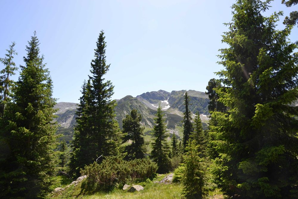 vand locuri de casa , cabana