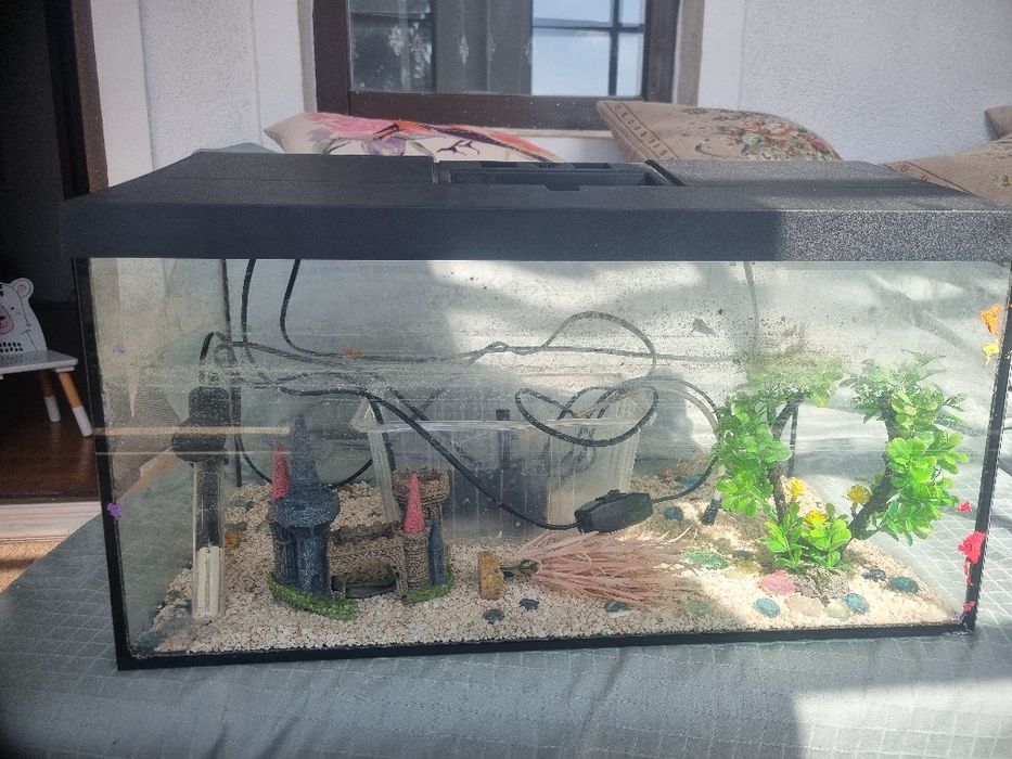 Vând acvariu 60 l