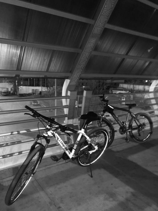 Veloseped sportivni
