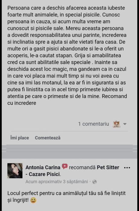 Pet Sitter & Pet Sitting - Dog & Cat Boarding