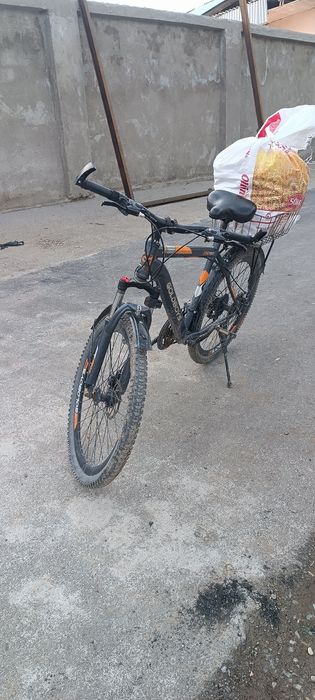 Velik sotiladi kitob tumanida