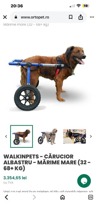 Carucior caine  talie mare