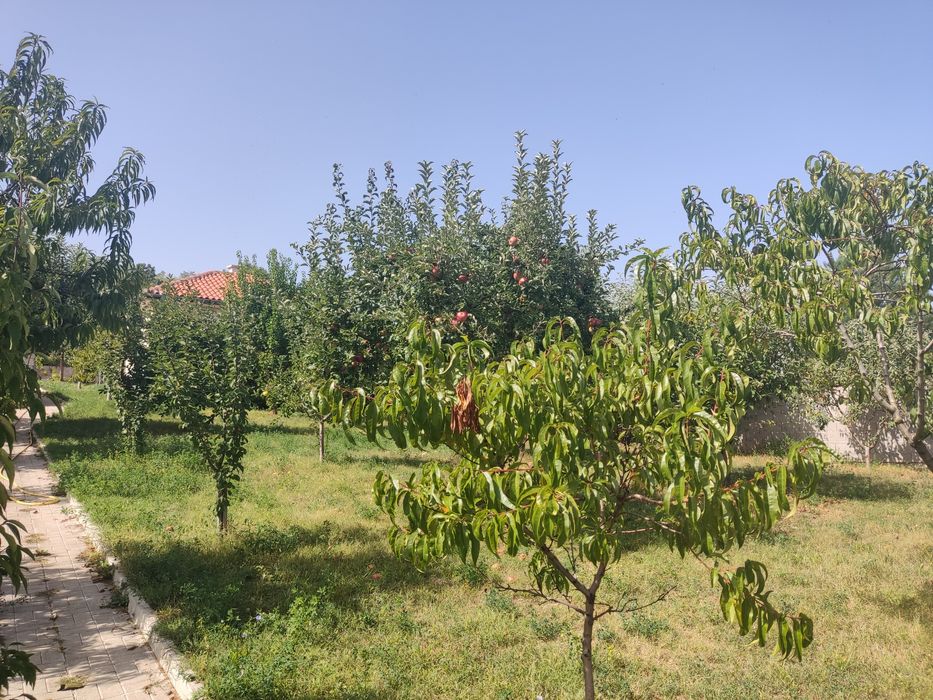 Продава се Къща в с. Логодаж, Област Благоевград - 280 кв.м за 715 €/кв.м - Снимка #17