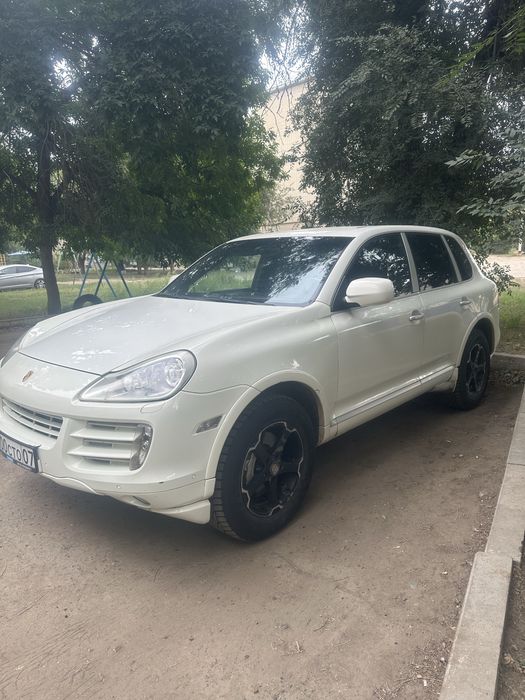 Продам  живого порша