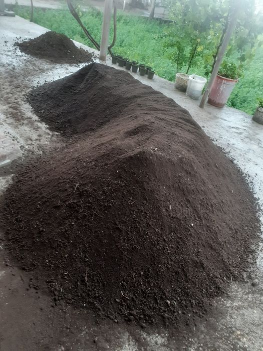 Sifatli biogomuslar tayyor