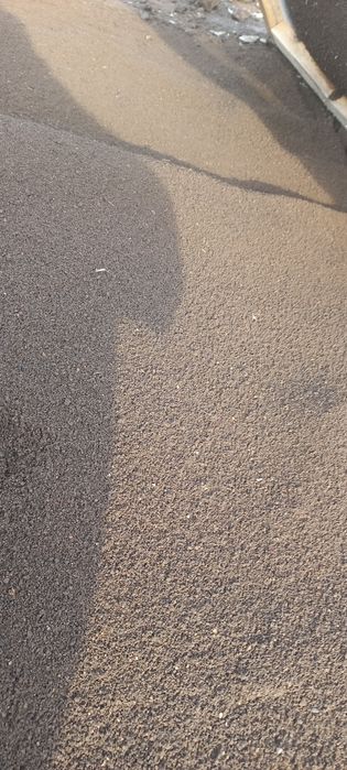 Beogumus/ Biogumus/ biyagumus