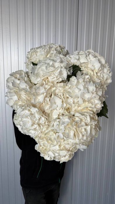 Тюльпаны оптом,доставка цветов,букет цветов,тюльпаны,пионы,розы