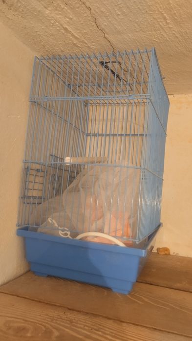 Тотықұсқа тор, сетка