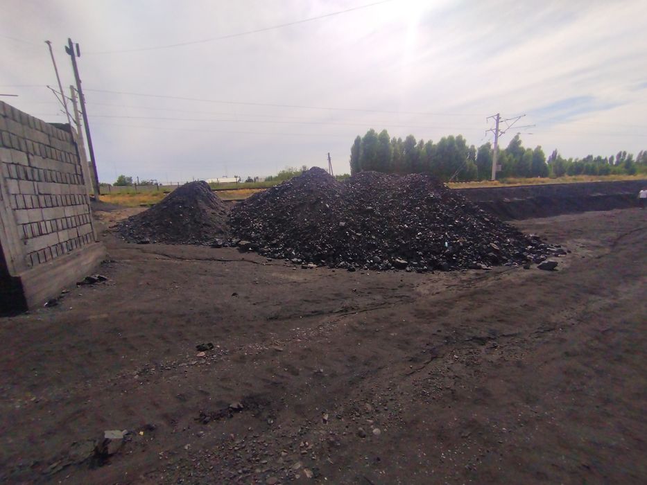 Уголь, ko'mir в Ташкенте