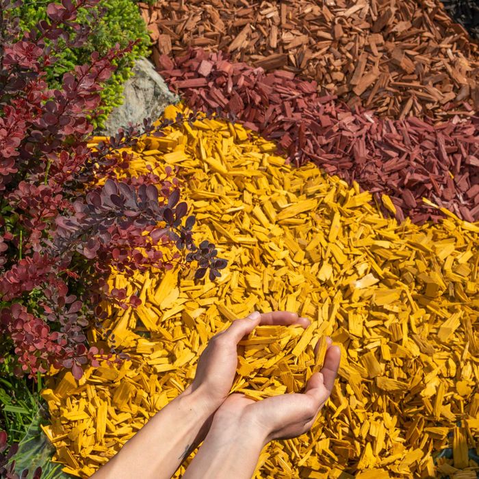 Цветен мулч -  Кафяв, Жълт и Черен