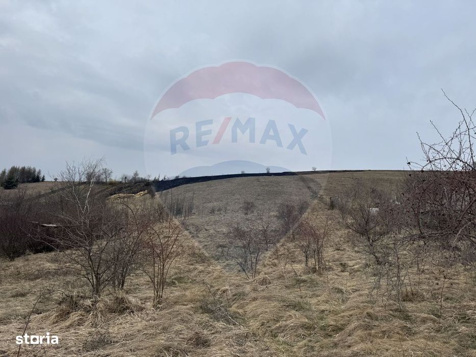 Teren intravilan 2307 mp în Salicea, zona premium, aproape de Cluj