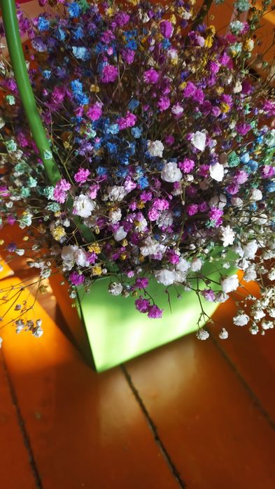 Стабилизированные букеты