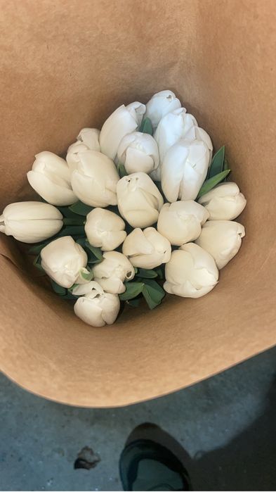 Тюльпаны на 8 марта