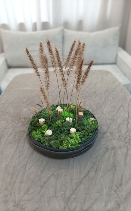 Терариум за плот