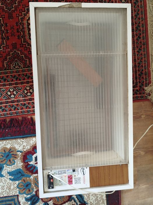 Инкубатор блиц норма луппер c10