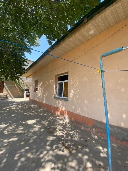 Termiz tuman Guliston