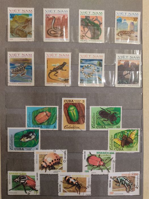 Почтовые марки. Альбом "Животные".