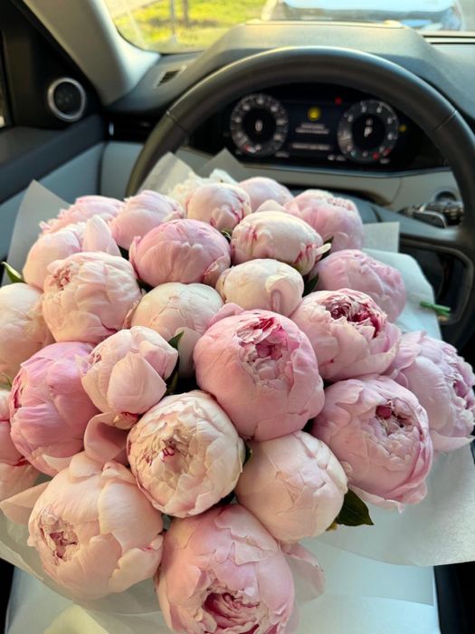 Цветы свежие пионы