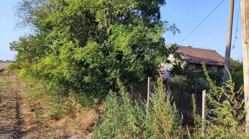 Продава се Парцел в с. Полковник Минково, Област Добрич - 2400 кв.м за 7 €/кв.м - Снимка #4