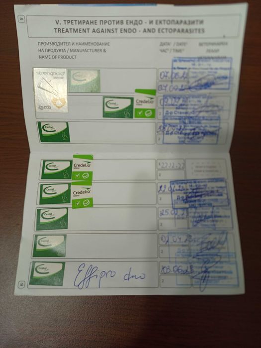 Пухкаво коте търси нов дом