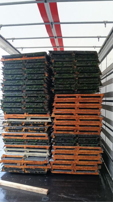 Panouri sandwich de acoperis