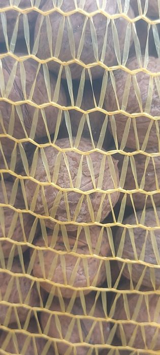 Добре сортирани  орехи