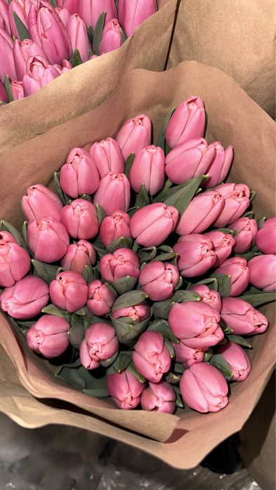 Тюльпаны в РОЗНИЦУ