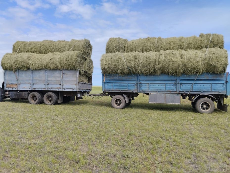 Продам сено хорошее