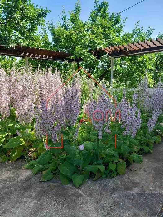 Продава се Къща в с. Съединение, Област Търговище - 1350 кв.м за 112 €/кв.м - Снимка #6