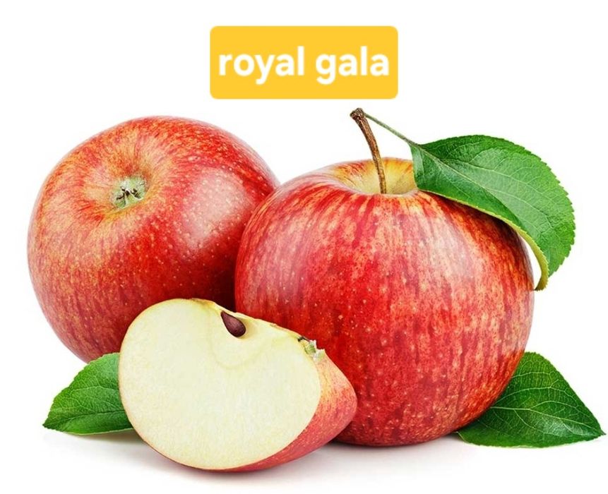 Pomi fructiferi  aclimatizați