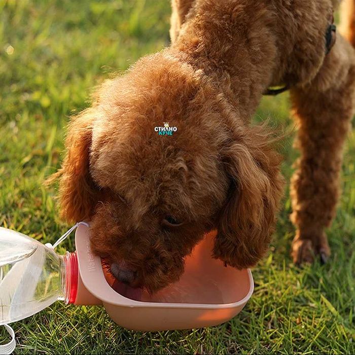 Купа за път за куче/коте с накрайник за бутилка