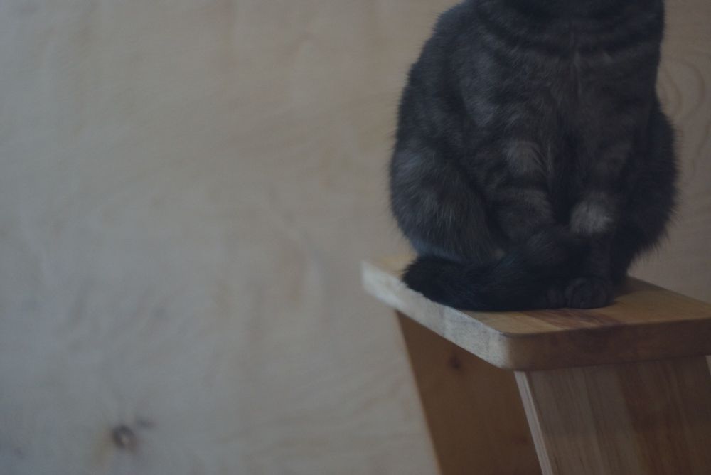 Стул стремянка из массива дерева