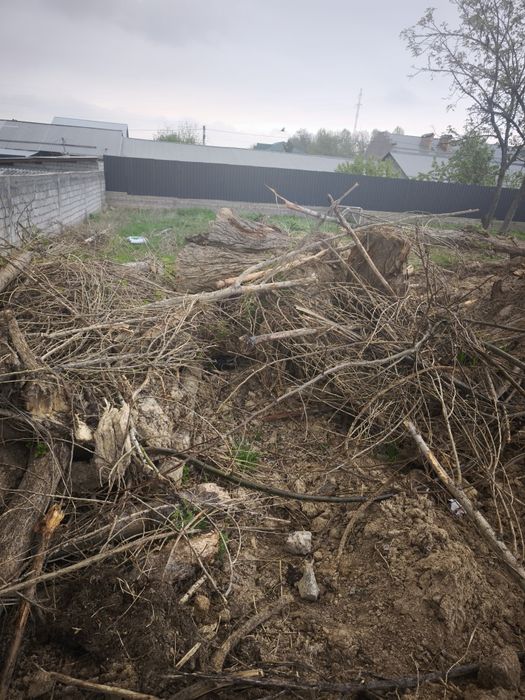 O'tin Otin Отин tekin faqat hammasini olish kerak