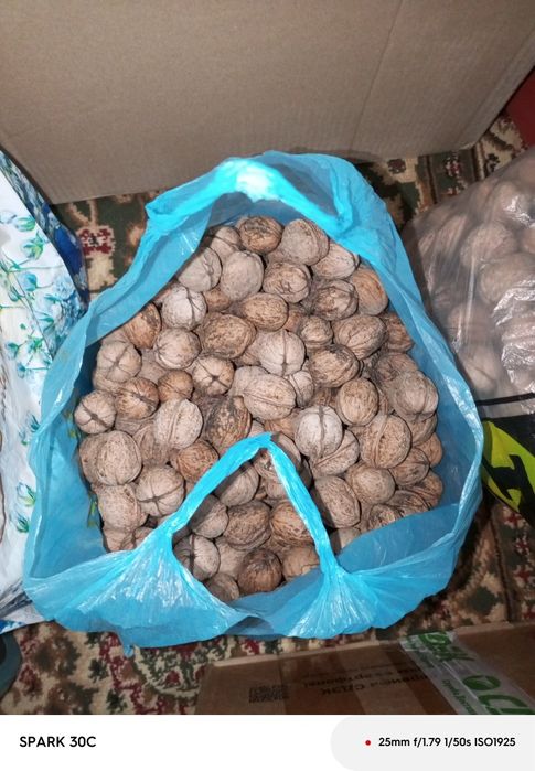 Орехи грецкие продам