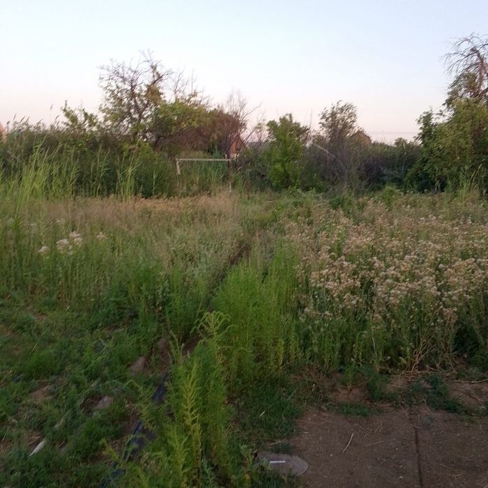 Продам дачу в Нур-тобе