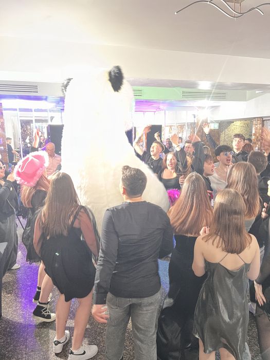 Surprize cu Ursul Gigant - Teddy