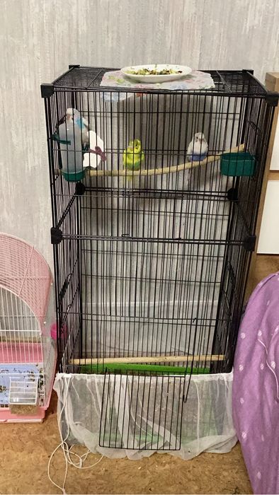 Клетка для попугаев
