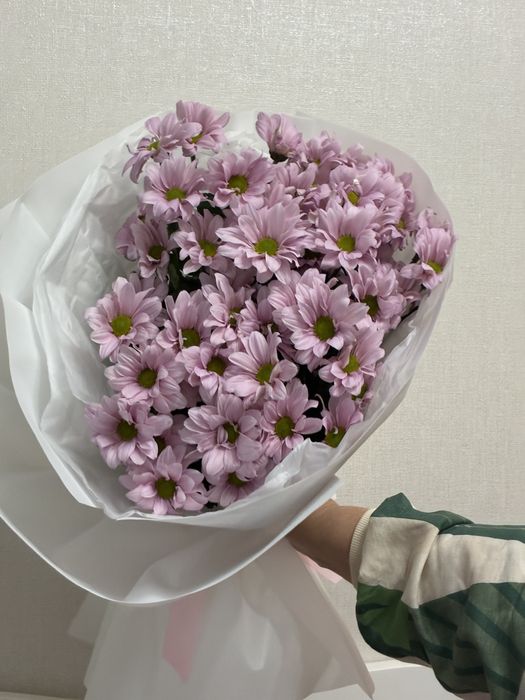 Цветы Астана тюльпаны