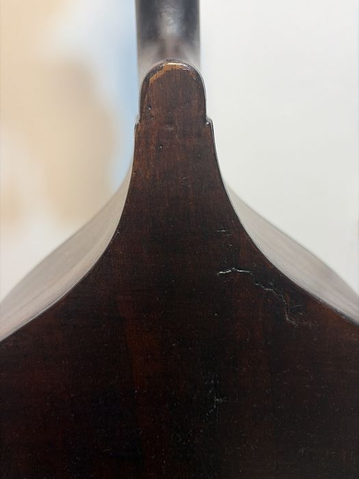 Bass de vanzare fin 1954